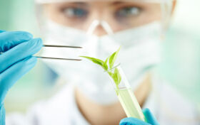 Weiterhin hohe Investitionen in den Forschungsstandort Schweiz