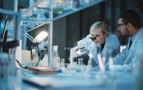 Die neue Salzstrasse