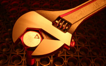 Schweizer Bundesrat zieht Gesetze an