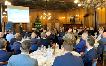 Reiterhof Pferde Reiten Freizeit Information Flyer Wissenswertes Grün Weiß A4(7).png