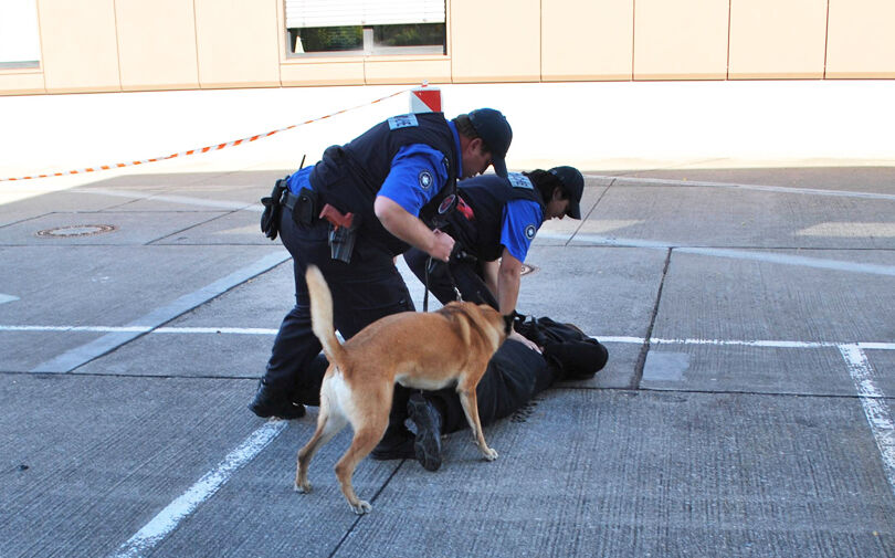 Vorführung bei der Autobahn-Zollstelle Basel Weil am Rhein mit Polizeihund Vorführung bei der Autobahn-Zollstelle Basel Weil am Rhein mit Polizeihund