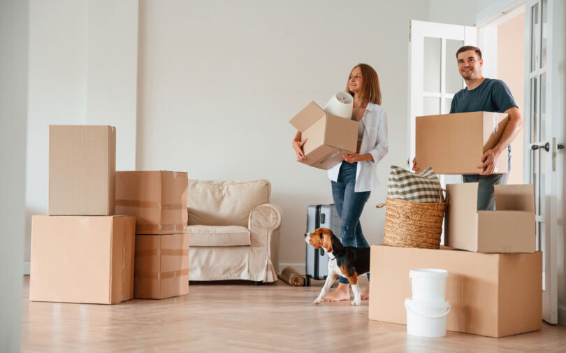 Factsheet: Leitfaden für Zuzügler