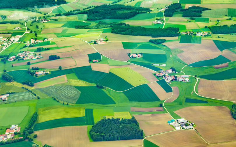 Kulinarische Grenzen – wo Essen trennt und verbindet