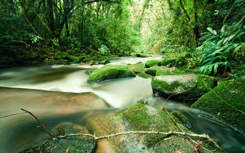 Nachhaltige Geldanlagen: Gewinnbringend investieren – Teil 1