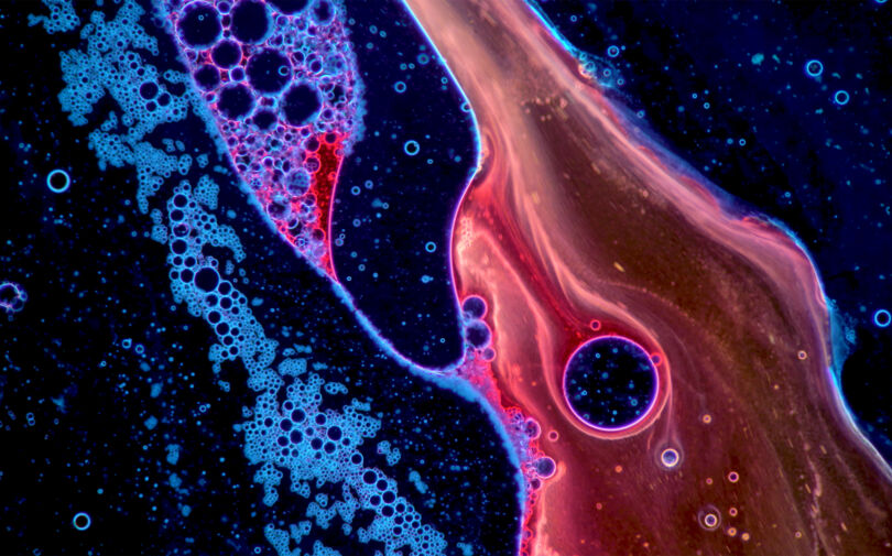 Mikroskop-Technik von Zeiss ist hochleistungsfähig und verbindet sogar Wissenschaft und Kunst, etwa auf der EXPO 2026 in Osaka. (ZEISS)