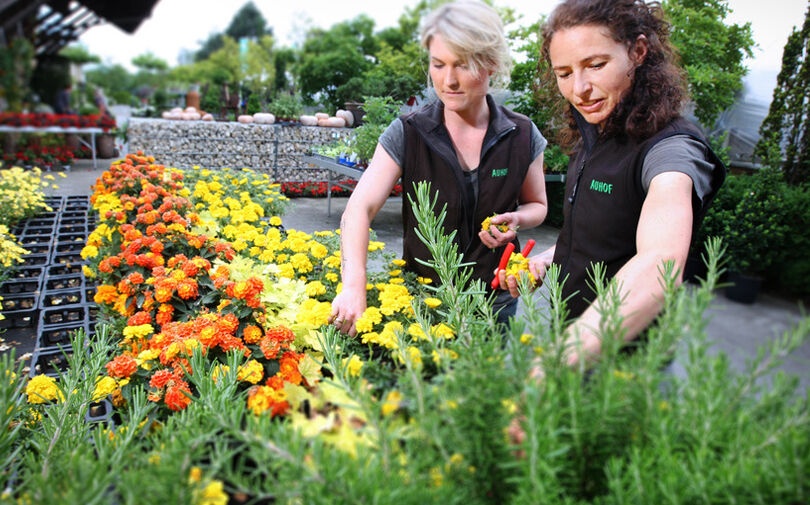 Handelskammerjournal-Das-breite-Rückgrat-der-Wirtschaft-Liechtenstein